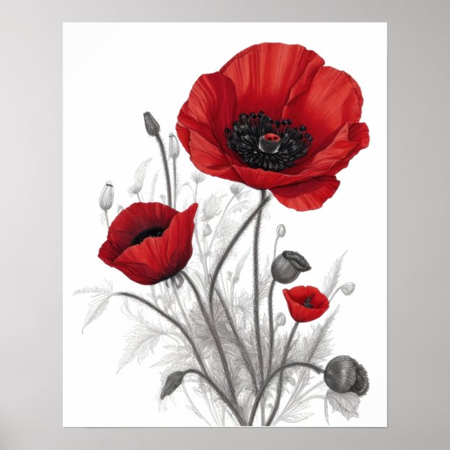 Póster Flores de amapola rojas (Frente)