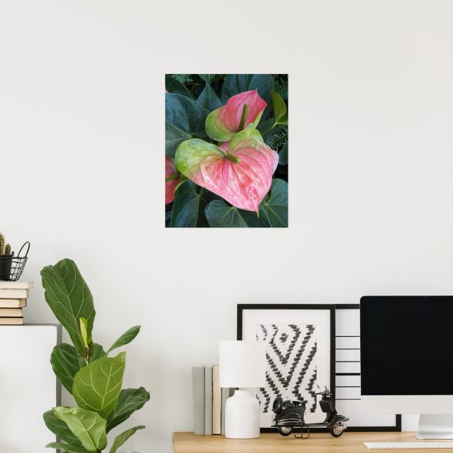 Póster Flores de Anthurium Rosado Fotografía Floral (Oficina en casa)