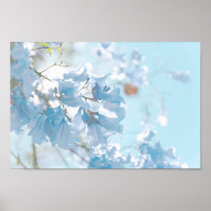 Póster Flores de árbol de jacarandá azul pastel suave