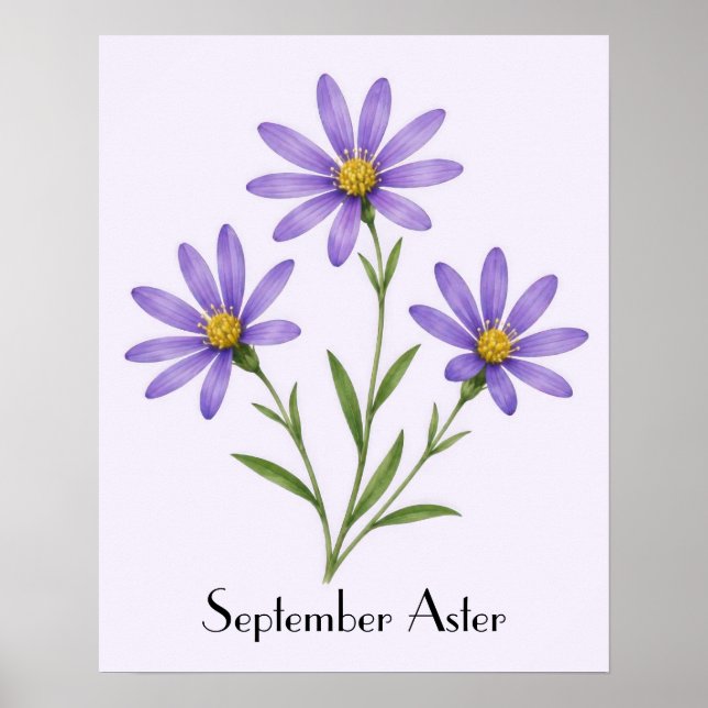 Póster Flores de Aster de Septiembre (Frente)