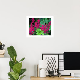 Póster Flores de Astilbe Rosa Profundo Floral