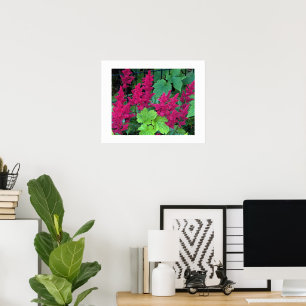Póster Flores de Astilbe Rosa Profundo Floral
