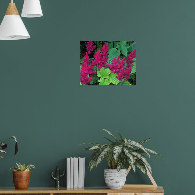 Póster Flores de Astilbe Rosa Profundo Floral (Salón 1)