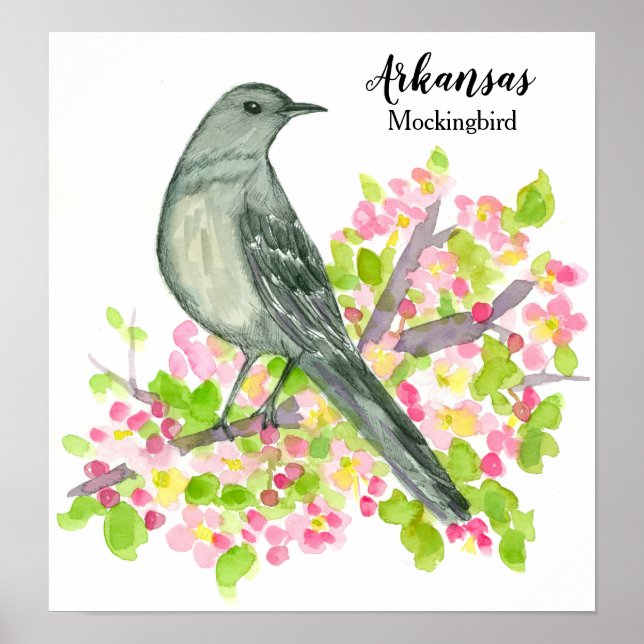 Póster Flores de aves de Arkansas Mockingbird (Frente)