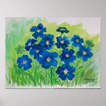 flores de bandera azul