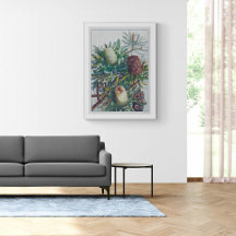 Flores de Banksia | Ellis Rowan 1782