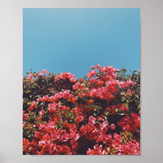 Póster Flores de Bougainvillea inspiradas en la época de  (Frente)