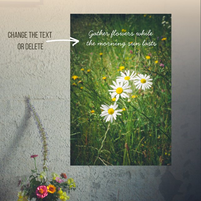 Póster Flores de camomila en la pradera verde del verano (Subido por el creador)
