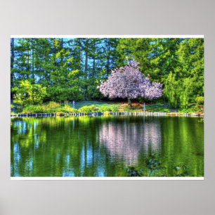 Póster Flores de cerezo