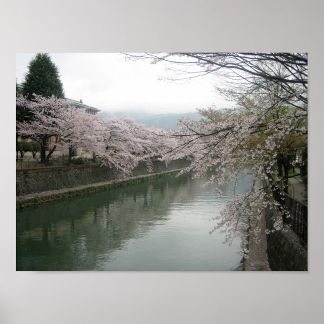 Póster Flores de cerezo de Kioto (Frente)