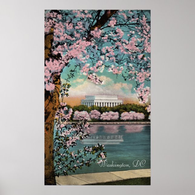 Póster Flores de cerezo en un Poster de Washington DC (Frente)