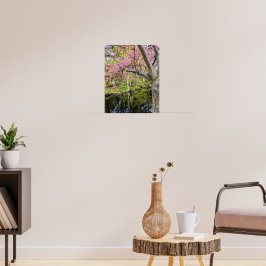 Póster Flores de cerezo rosadas junto al estanque