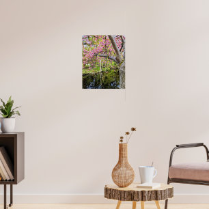 Póster Flores de cerezo rosadas junto al estanque