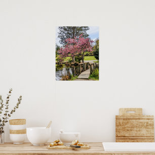 Póster Flores de cerezo rosadas y pasarela de madera