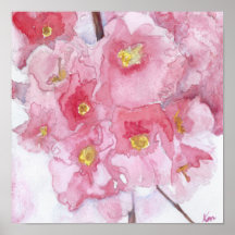 Flores de cerezo rosado en primavera acuarela