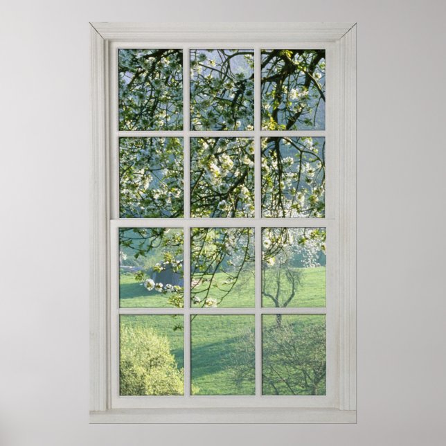 Póster Flores de cerezo - Ventana blanca falsa (1 0f 3) (Frente)