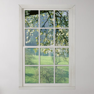 Póster Flores de cerezo - Ventana blanca falsa (3)