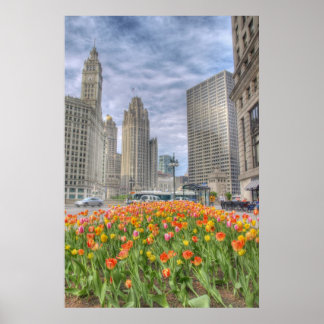 Póster Flores de Chicago