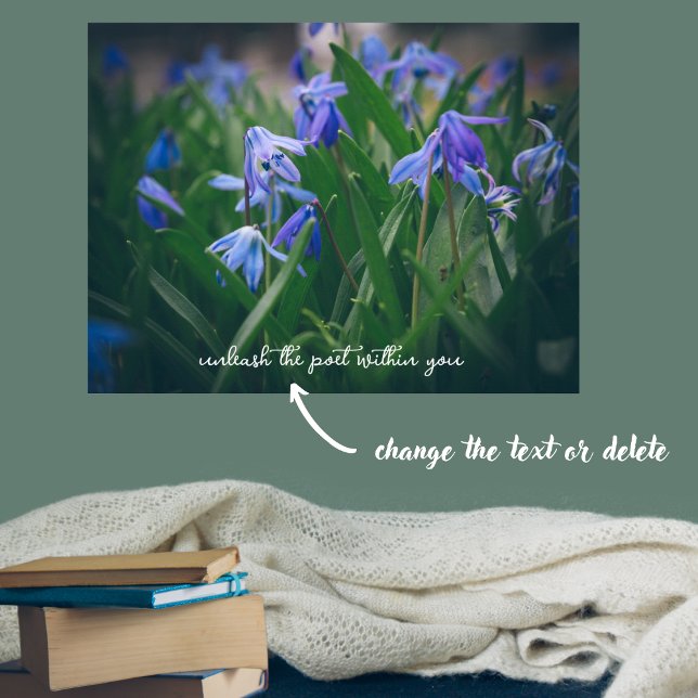 Póster Flores de cilla azul en el jardín de primavera (Subido por el creador)