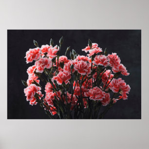 Póster Flores de clavel de ramo de color vintage tonifica