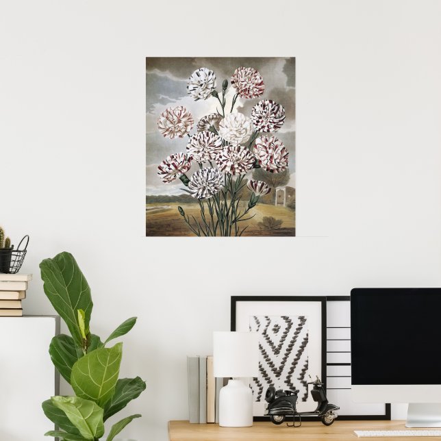 Póster Flores de clavel variadas con cielo gris (Oficina en casa)