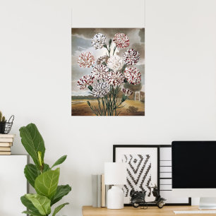 Póster Flores de clavel variegado vintage con cielo gris