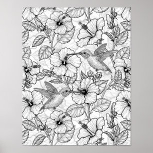 Póster Flores de colibrí y de hibisco b&p