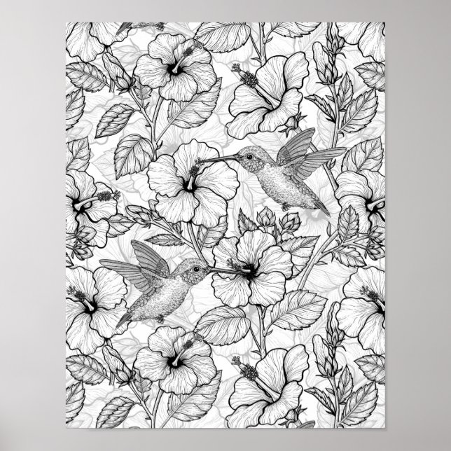 Póster Flores de colibrí y de hibisco b&p (Frente)
