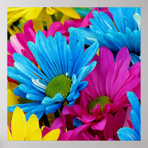 Póster Flores de color azul Verde azulado caliente rosa c