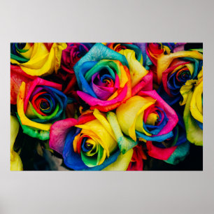 Póster Flores de colores variados