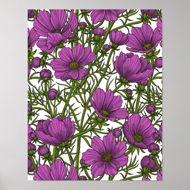 Póster Flores de cosmos violetas (Frente)