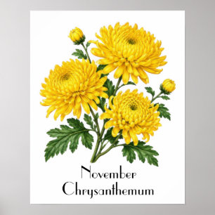 Póster Flores de Crisantemo de Noviembre
