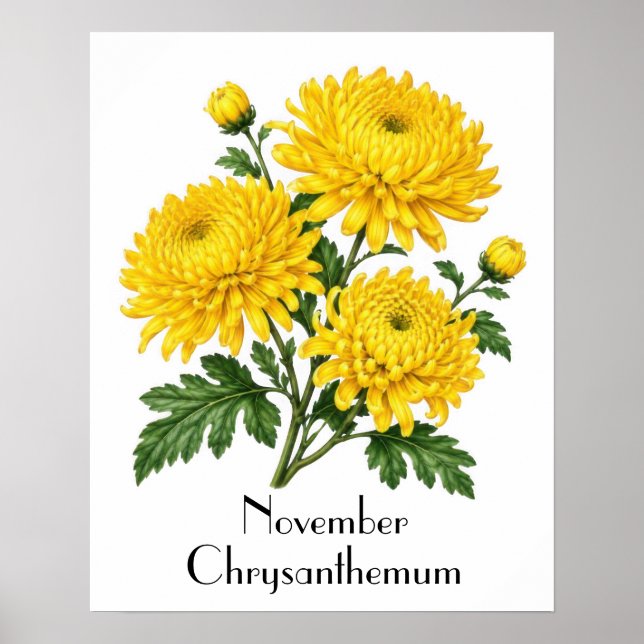 Póster Flores de Crisantemo de Noviembre (Frente)