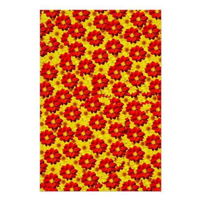 Póster Flores de dalia rojas y amarillas (Anverso)