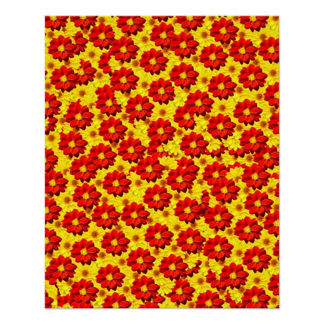 Póster Flores de dalia rojas y amarillas (Anverso)