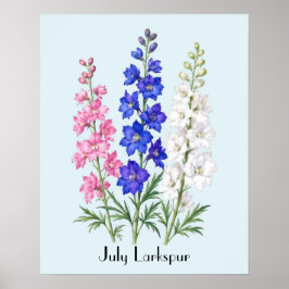 Póster Flores de Delphinium de Julio