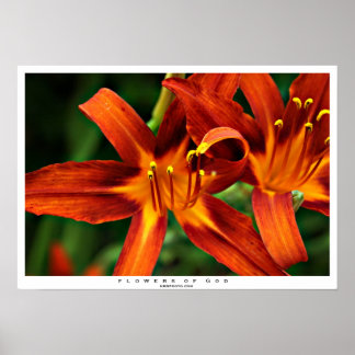 Póster Flores de Dios