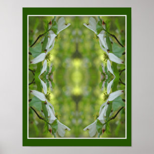 Póster Flores de dogwood silvestres Resumen