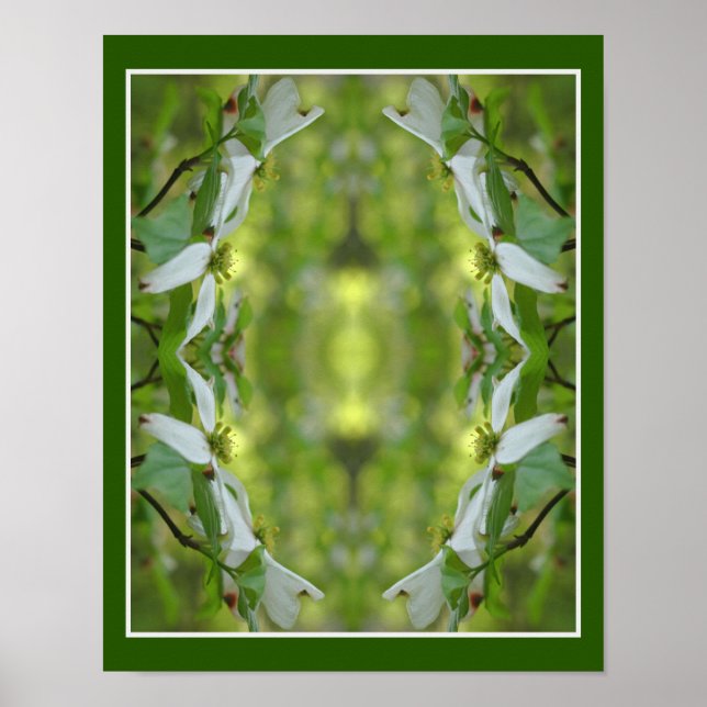 Póster Flores de dogwood silvestres Resumen (Frente)