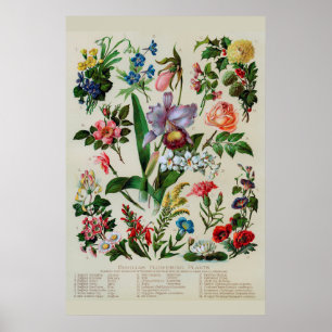 Póster Flores de época floral rústica