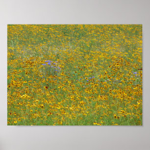 Póster Flores de época, Indiana