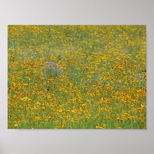 Póster Flores de época, Indiana (Frente)