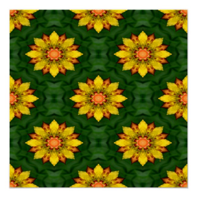 Póster Flores de estrellas... (Anverso)