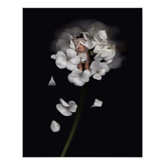 Póster Flores de fe 1