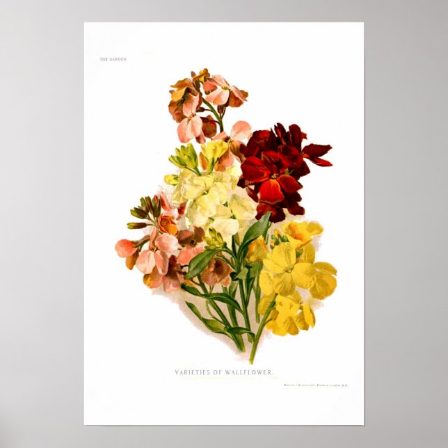 Póster Flores de flores (Frente)