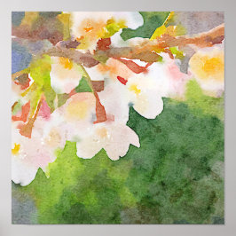 Póster Flores de flores de cerezo acuarela Sakura primave