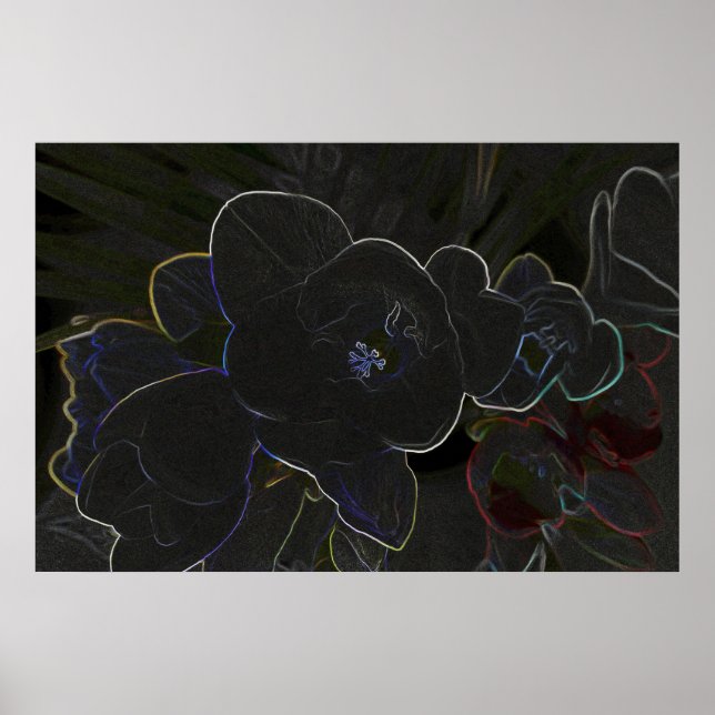 Póster flores de freesia delineadas (Frente)