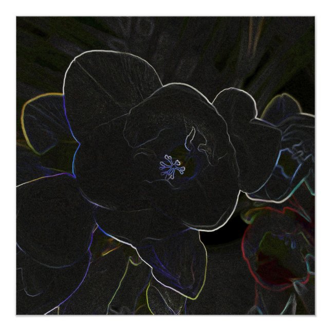 Póster flores de freesia delineadas (Anverso)