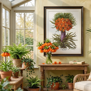 Póster Flores de Fritillaria Naranja Vintage Basilius Bes
