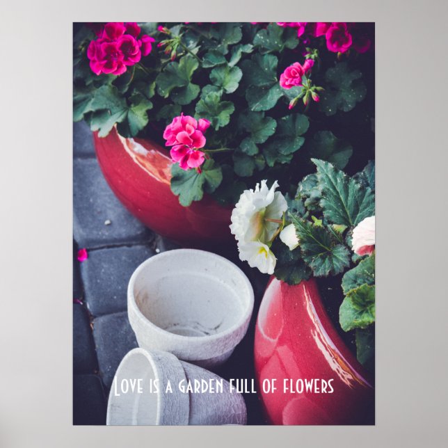 Póster flores de geranio de jardín rosadas y blancas (Frente)